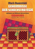Mark Dworetski - Geheimnisse der Schachstrategie