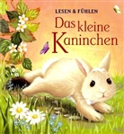 Das kleine Kaninchen
