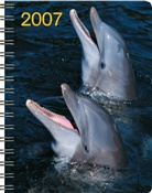 Delfine, Buchkalender