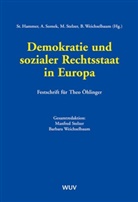 Hammer, Stefan Hammer, Alexande Somek, Alexander Somek, Manfr Stelzer, Manfred Stelzer... - Demokratie und sozialer Rechtsstaat in Europa