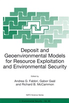 Richard B McCammon, Andrea G. Fabbri, Gabo Gaál, Gabor Gaál, Eulalia Gili, Richard B. McCammon... - Deposit and Geoenvironmental Models for Resource Exploitation and Environmental Security