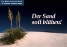 Markus Zweigle - Der Sand soll blühen, Postkartenbuch
