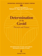Richar H Rapp, Richard H Rapp, Richard H. Rapp, Fernando Sans, Fernando Sanso, Sansò... - Determination of the Geoid