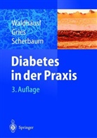 Friedrich A. Gries, Werner A. Scherbaum, Werner Waldhäusl - Diabetes in der Praxis