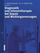 Lothar Engelmann, Hans-Peter Schuster - Diagnostik und Intensivtherapie bei Sepsis und Multiorganversagen