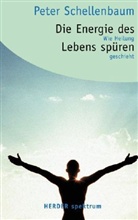 Peter Schellenbaum - Die Energie des Lebens spüren