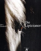 Joco Nidari - Die Lipizzaner