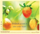 Hans-Joachim Eckstein - Ecksteine 2011