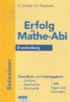 Helmut Gruber, Robert Neumann - Erfolg im Mathe-Abi: Brandenburg, Basiswissen Grundkurs/Leistungskurs