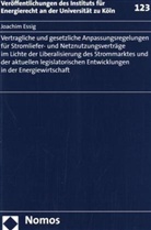 Joachim Essig - Vertragliche und gesetzliche Anpassungsregelungen für Stromliefer- und Netznutzungsverträge im Lichte der Liberalisierung des Strommarktes und der aktuellen legislatorischen Entwicklungen in der Energiewirtschaft