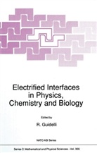 R Guidelli, R. Guidelli - Electrified Interfaces in Physics, Chemistry and Biology