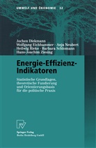 Joche Diekmann, Jochen Diekmann, Wolfgan Eichhammer, Wolfgang Eichhammer, Anj Neubert, Anja Neubert... - Energie-Effizienz-Indikatoren