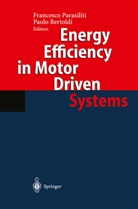 Bertoldi, Bertoldi, Paolo Bertoldi, F. Parasiliti, Francesc Parasiliti, Francesco Parasiliti - Energy Efficiency in Motor Driven Systems