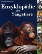 David Macdonald - Enzyklopädie der Säugetiere