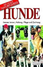 Rino Falappi - Hunde