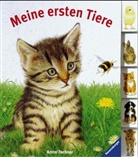 Amrei Fechner - Meine ersten Tiere