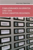 Anton Feinig, Tatjana Feinig - Familiennamen in Kärnten und deren Bedeutung für die Region