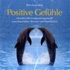 Reto Feuerstein - Positive Gefühle, 1 Audio-CD (Audiolibro)