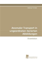 Andreas Fichtner - Anomaler Transport in ungeordneten iterierten Abbildungen