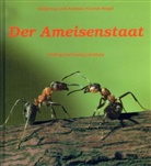 Andreas Fischer-Nagel, Heiderose Fischer-Nagel - Der Ameisenstaat