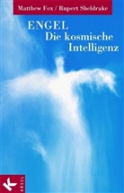Matthew Fox, Rupert Sheldrake - Engel, Die kosmische Intelligenz