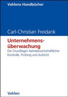 Carl-C Freidank, Carl-Christian Freidank, Remme Sassen, Remmer Sassen - Unternehmensüberwachung