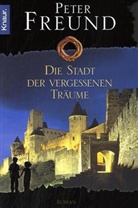 Peter Freund - Die Stadt der vergessenen Träume