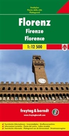 Freytag Berndt Stadtplan: Freytag & Berndt Stadtplan Florenz. Florence. Firenze