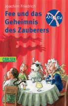 Joachim Friedrich - Fee und das Geheimnis des Zauberers