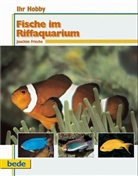 Joachim Frische - Fische im Riffaquarium