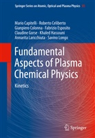 Mari Capitelli, Mario Capitelli, Robert Celiberto, Roberto Celiberto, Gianp Colonna, Gianpiero Colonna... - Fundamental Aspects of Plasma Chemical Physics