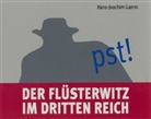 Hans-Joachim Gamm, Achim Höppner, Detlef Kügow - Der Flüsterwitz im Dritten Reich, 4 Audio-CDs (Hörbuch)