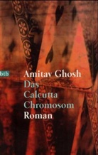 Amitav Ghosh - Das Calcutta Chromosom