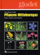Jean-Denis Godet - Pflanzen Mitteleuropas