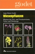 Jean-Denis Godet - Wiesenpflanzen