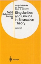 Martin Golubitsky, David G. Schaeffer, Ian Stewart - Singularities and Groups in Bifurcation Theory. Vol.2