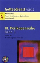 Erhard Domay - Gottesdienstpraxis, Serie A - Bd.3: Exaudi bis 13. Sonntag nach Trinitatis, m. CD-ROM