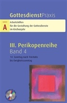 Erhard Domay - Gottesdienstpraxis, Serie A - Bd.4: 14. Sonntag nach Trinitatis bis Ewigkeitssonntag, m. CD-ROM