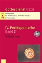 Erhard Domay - Gottesdienstpraxis, Serie A - Bd. 3: Kantate bis 11. Sonntag nach Trinitatis
