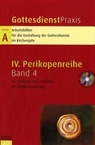 Erhard Domay - Gottesdienstpraxis, Serie A - Bd. 4: 12. Sonntag nach Trinitatis bis Ewigkeitssonntag, m. CD-ROM