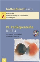 Erhard Domay - Gottesdienstpraxis, Serie A - 4: 16. Sonntag nach Trinitatis bis Ewigkeitssonntag, m. CD-ROM