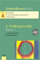 Erhard Domay - Gottesdienstpraxis, Serie A - Bd. 1: 1. Sonntag im Advent bis Estomihi, m. CD-ROM