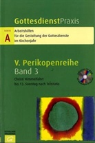 Erhard Domay - Gottesdienstpraxis, Serie A - Bd. 3: Christi Himmelfahrt bis 13. Sonntag nach Trinitatis, m. CD-ROM