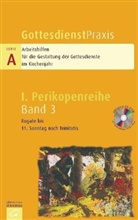 Erhard Domay, Sigrun Welke-Holtmann - GottesdienstPraxis, Serie A, 1. Perikopenreihe - 3: Rogate bis 11. Sonntag nach Trinitatis, m. CD-ROM