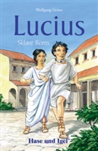 Wolfgang Gröne, Johann Brandstetter - Lucius, Sklave Roms, Schulausgabe