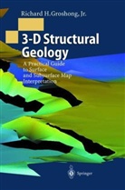 Richard H. Groshong - 3-D Structural Geology