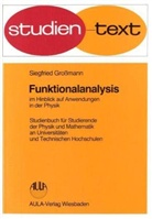 Siegfried Großmann - Funktionalanalysis im Hinblick auf Anwendung in der Physik