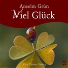 Grün Anselm - Viel Glück, 1 Mini-Audio-CD (Audio book)