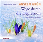 Grün Anselm, Levi Harrison - Wege durch die Depression, 1 Audio-CD (Audio book)