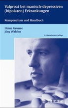 Heinz Grunze, Jörg Walden - Valproat bei manisch-depressiven (bipolaren) Erkrankungen